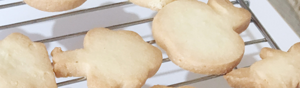 アトリエアプンテ スケジュール